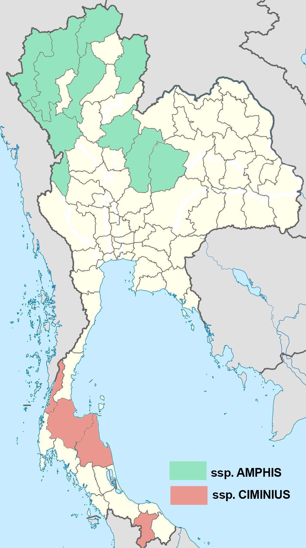 Meandrusa Payeni Map2