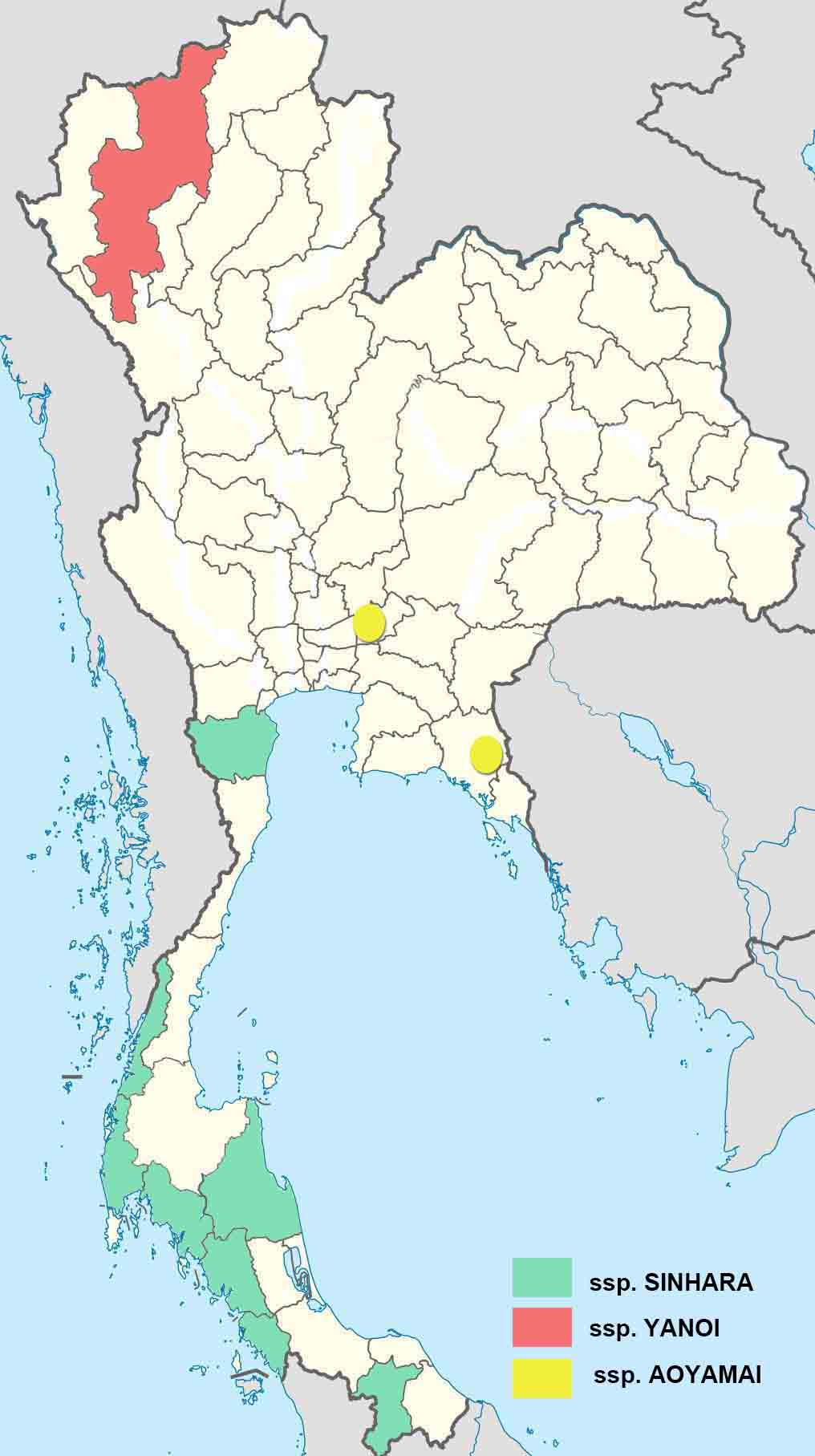 Dacalana Sinhara1