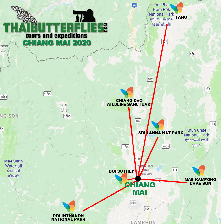 Chiang Mai 2020