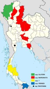 Papilio Slateri Map