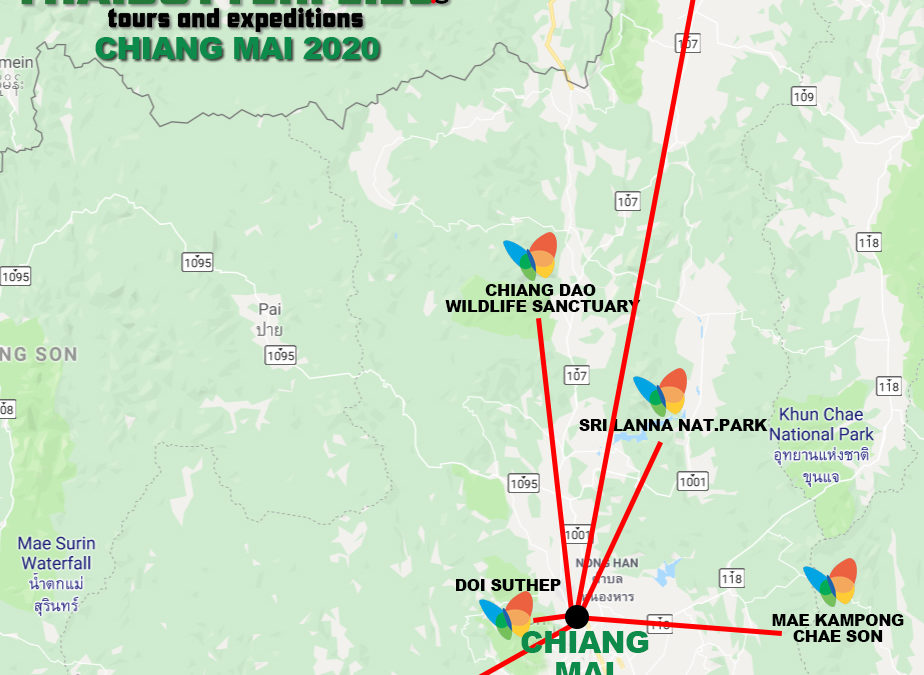 TRIP: CHIANG MAI PROVINCE 2022